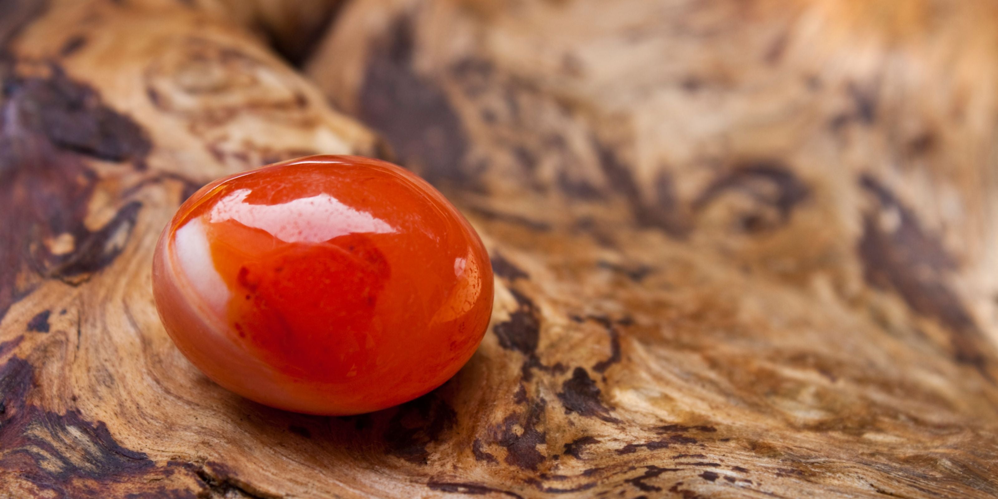 Carnelian | Citrine